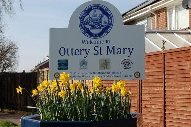 Ottery in full bloom image