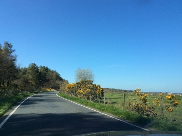 Beautiful Devon skies and fields image