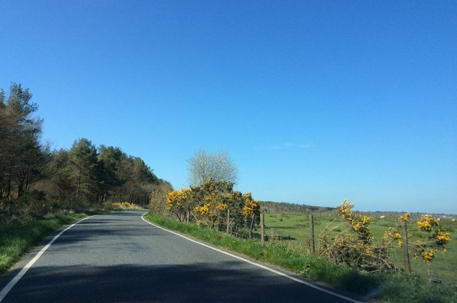 Beautiful Devon skies and fields image