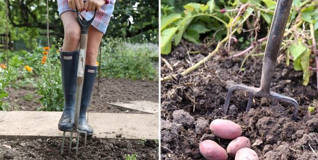 Do you fancy a Garden break - Volunteers wanted! image