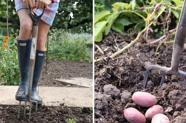 Do you fancy a Garden break - Volunteers wanted! image