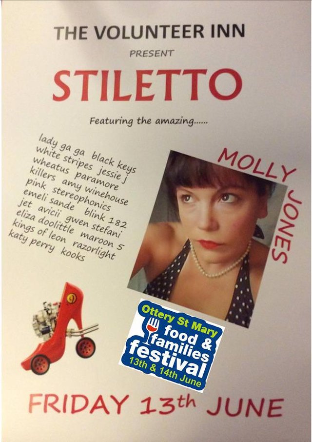 STILETTO - Ottery St Mary - food & families festival (Fri 13th June) image