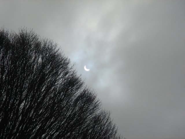 Ottery's partial eclipse image