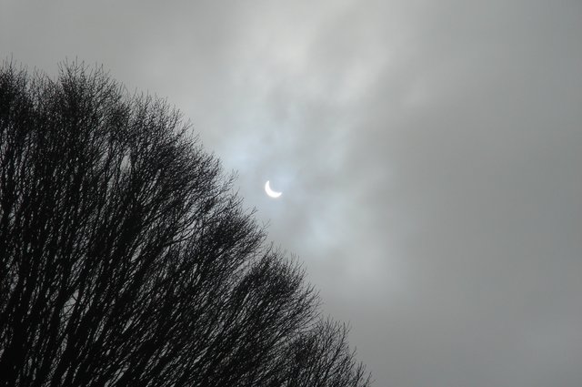 Ottery's partial eclipse image