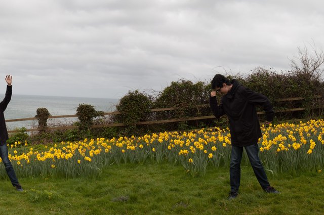 Beautiful Sidmouth...even with grey clouds image