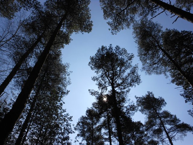 Nearby cycle park - Haldon Forest image