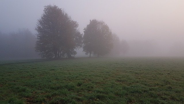 Another foggy start tomorrow for Ottery image