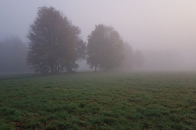 Another foggy start tomorrow for Ottery image