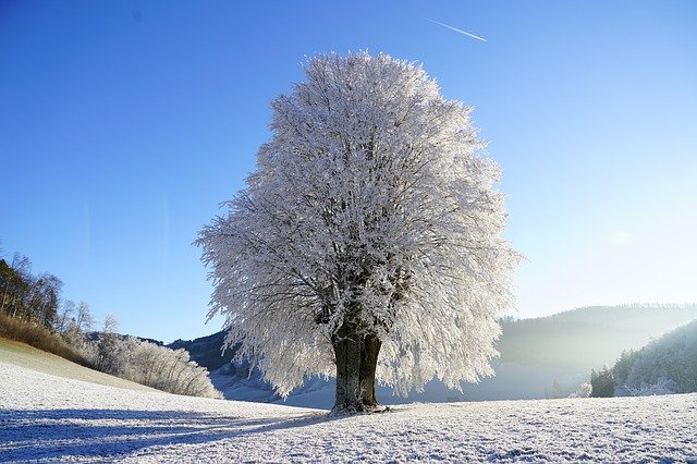 Warnings for snow and ice image