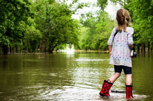 Would you like to be involved in the Natural Flood Management project in Ottery St Mary? image