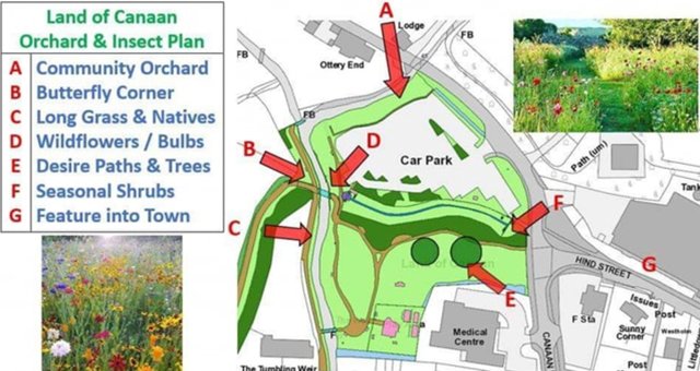 Community Orchard for Ottery St Mary image