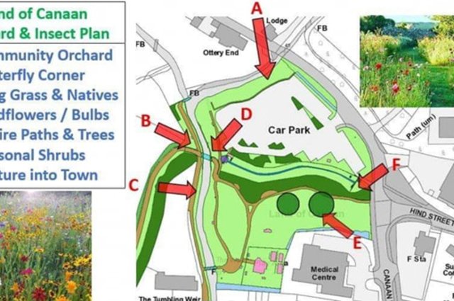 Community Orchard for Ottery St Mary image