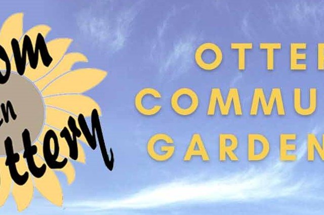 Ottery Community Gardeners - Tree give away! image