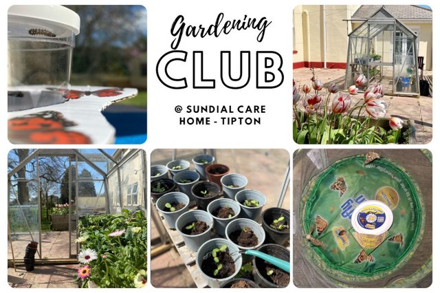 Sundial Care Home in Devon Launches Gardening Club image