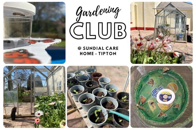 Sundial Care Home in Devon Launches Gardening Club image